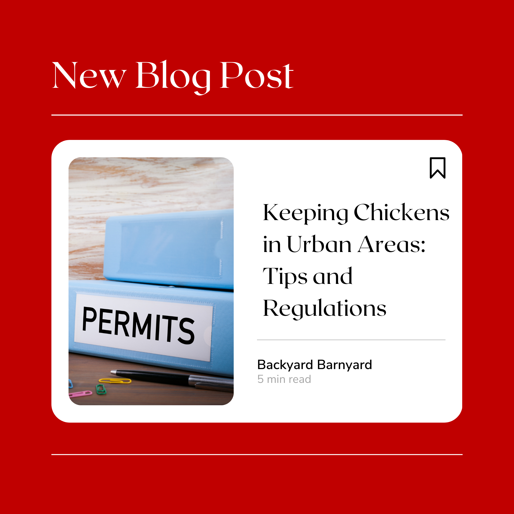 Keeping Chickens In Urban Areas: Tips And Regulations – Backyard Barnyard