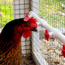 Load image into Gallery viewer, Poultry Drinking Nipple | Horizontal Side Mount | 12 Pack