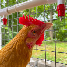 Load image into Gallery viewer, Poultry Nipples + PVC Tee Fittings | 6 Pack