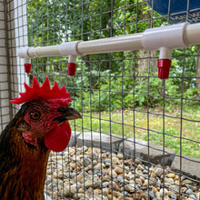 Load image into Gallery viewer, Poultry Nipples + PVC Tee Fittings | 6 Pack