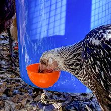 Load image into Gallery viewer, Poultry Jumbo Automatic Poultry Cup Waterer Drinker | 6 Pack