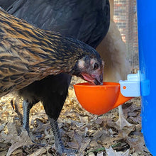 Load image into Gallery viewer, Poultry Jumbo Automatic Poultry Cup Waterer Drinker | 6 Pack