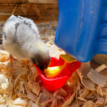 Load image into Gallery viewer, Poultry Drinking Cups Vertical Auto-Fill | 4 Pack