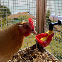 Load image into Gallery viewer, Poultry Cups Auto-Fill | 4 Pack