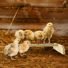 Load image into Gallery viewer, Chicken Perch Roosting Bar
