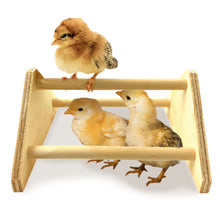 Load image into Gallery viewer, Mini Chick Perch
