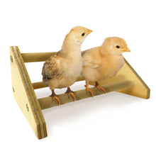 Load image into Gallery viewer, Mini Chick Perch