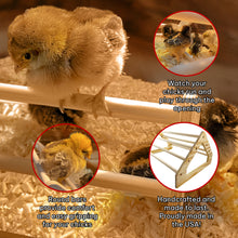 Load image into Gallery viewer, Wooden 7 Bar Chick Perch Features