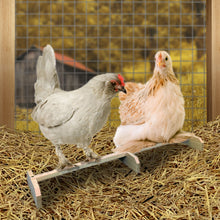 Load image into Gallery viewer, Wooden chicken perch roosting bar with chickens roosting on it inside the coop