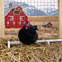 Load image into Gallery viewer, Wooden chicken perch roosting bar with chickens roosting on it inside the coop