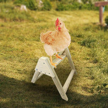 Load image into Gallery viewer, Handmade wooden perch with a chicken sitting on it