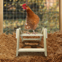Load image into Gallery viewer, Handmade wooden perch with a chicken sitting on it
