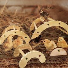 Load image into Gallery viewer, 4 Pack Wooden Nesting Chick Perch with Chicks Roosting on Them Inside the Chicken Brooder