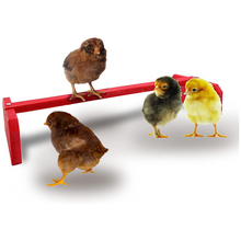 Load image into Gallery viewer, Chicken Roosting Bar | Colored