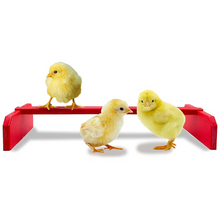 Load image into Gallery viewer, Chicken Roosting Bar | Colored