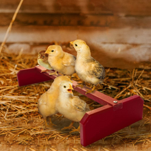 Load image into Gallery viewer, Chicken Roosting Bar | Colored