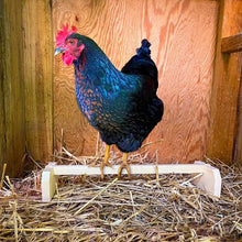 Load image into Gallery viewer, Chicken Roosting Bar | 2 Pack