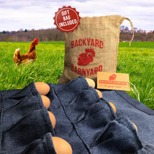 Load image into Gallery viewer, An egg collecting apron laying in grass with eggs