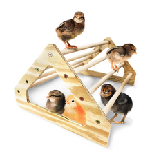 Load image into Gallery viewer, Chick Perch | 7 Bar
