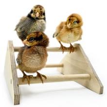 Load image into Gallery viewer, Wooden Mini Roosting Chick Perch with Chicks Sitting on it