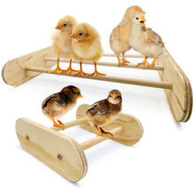 Load image into Gallery viewer, 2 Pack Oval Chick Perch