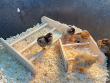 Load image into Gallery viewer, 2 Pack Oval Chick Perch