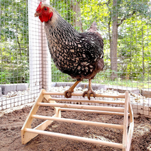 Load image into Gallery viewer, Wooden 7 Bar Chick Perch with Hen Perching on it Inside the Chicken Coop
