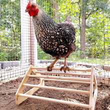 Load image into Gallery viewer, Wooden 7 Bar Chick Perch with Hen Perching on it Inside the Chicken Coop