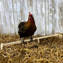 Load image into Gallery viewer, Wooden chicken perch roosting bar with chickens roosting on it inside the coop