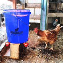 Load image into Gallery viewer, A chicken in a coop drinks out of a vertical auto fill poultry water cup