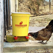 Load image into Gallery viewer, A chicken drinks out of a vertical poultry cup