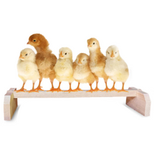 Load image into Gallery viewer, Chicken Perch Roosting Bar