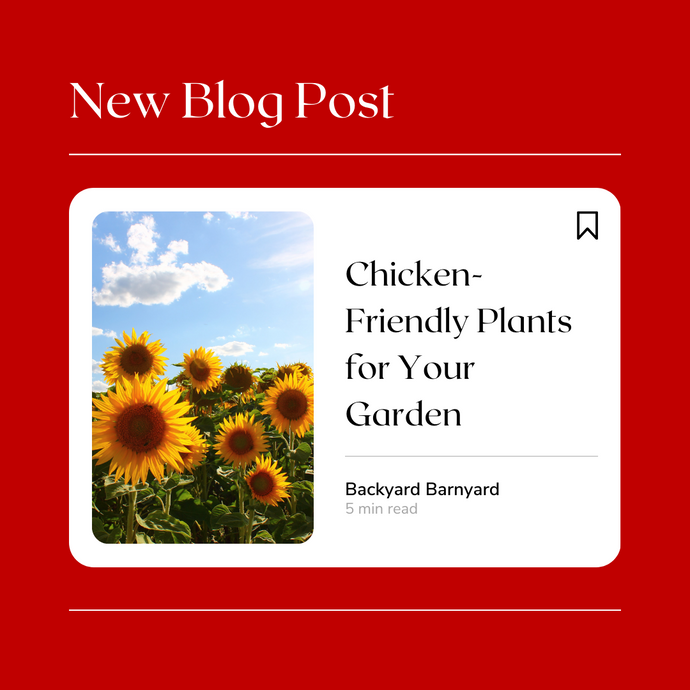 Chicken-Friendly Plants for Your Garden