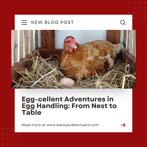 Egg-cellent Adventures in Egg Handling: From Nest to Table