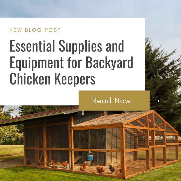 Essential Supplies and Equipment for Backyard Chicken Keepers