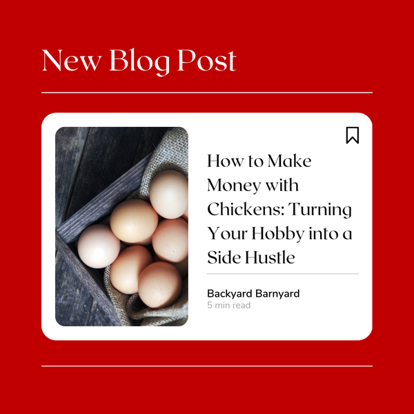 How to Make Money with Chickens: Turning Your Hobby into a Side Hustle