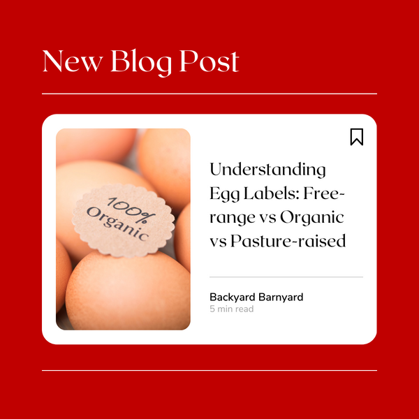 Understanding Egg Labels: Free-range vs Organic vs Pasture-raised