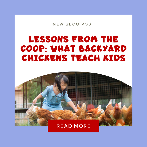 Lessons from the Coop: What Backyard Chickens Teach Kids
