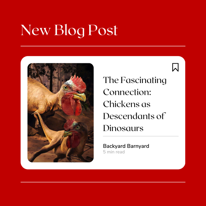 The Fascinating Connection: Chickens as Descendants of Dinosaurs