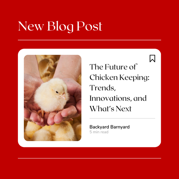 The Future of Chicken Keeping: Trends, Innovations, and What’s Next