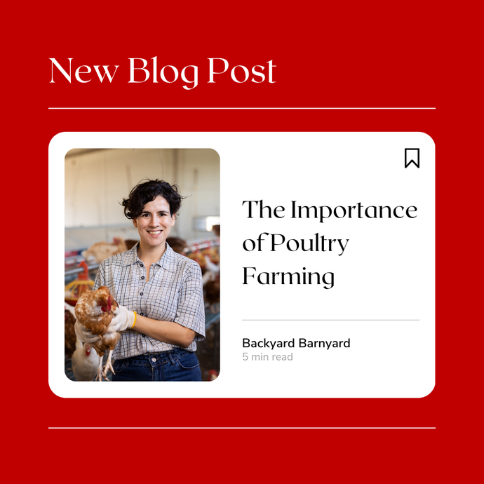 The Importance of Poultry Farming