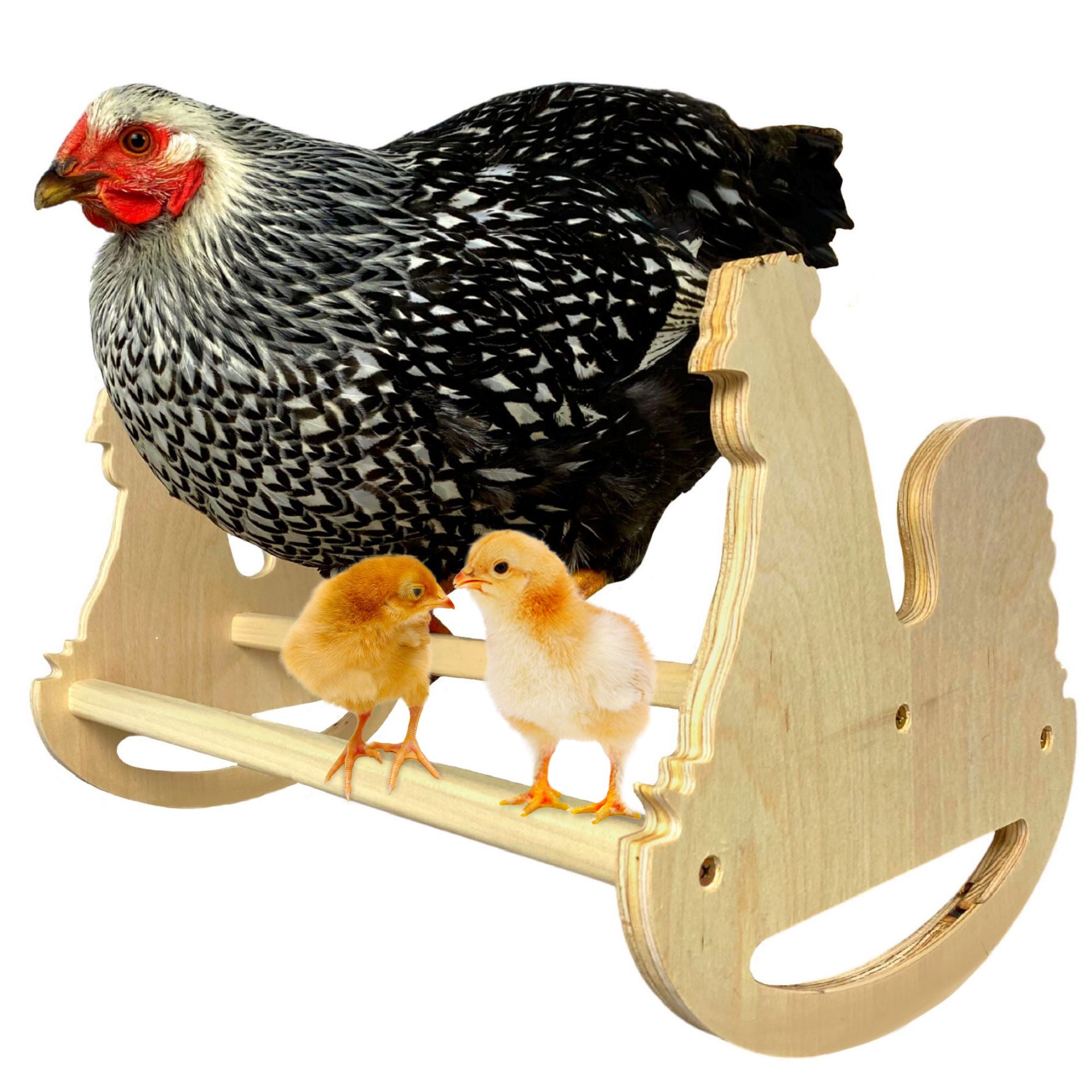 Chicken Rockers, entertainment for the chicken coop! Backyard Barnyard