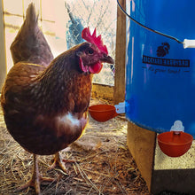 Load image into Gallery viewer, Poultry Jumbo Automatic Poultry Cup Waterer Drinker | 6 Pack
