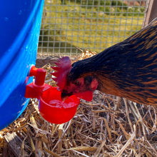 Load image into Gallery viewer, Poultry Auto-Fill Waterer Cup | 2 Pack
