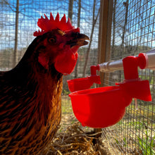 Load image into Gallery viewer, Poultry Auto-Fill Waterer Cup | 6 Pack
