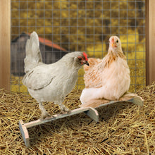 Load image into Gallery viewer, Wooden chicken perch roosting bar with chickens roosting on it inside the coop
