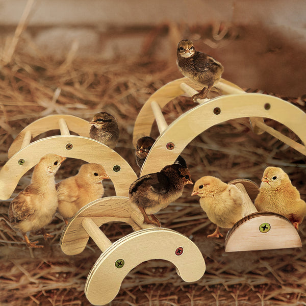 4 Pack Wooden Nesting Chick Perch with Chicks Roosting on Them Inside the Chicken Brooder