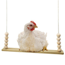 Load image into Gallery viewer, A single bar wooden chicken swing made in the USA
