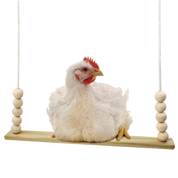 A single bar wooden chicken swing made in the USA