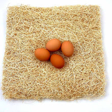 Load image into Gallery viewer, A chicken coop nesting pad with 4 eggs on top
